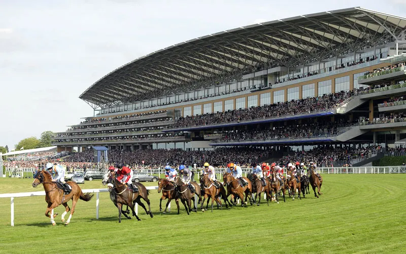 Ascot Dayout Mini Bus hire Reading Berkshire